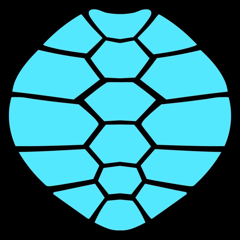 Turtle shell pattern turtle icon cool