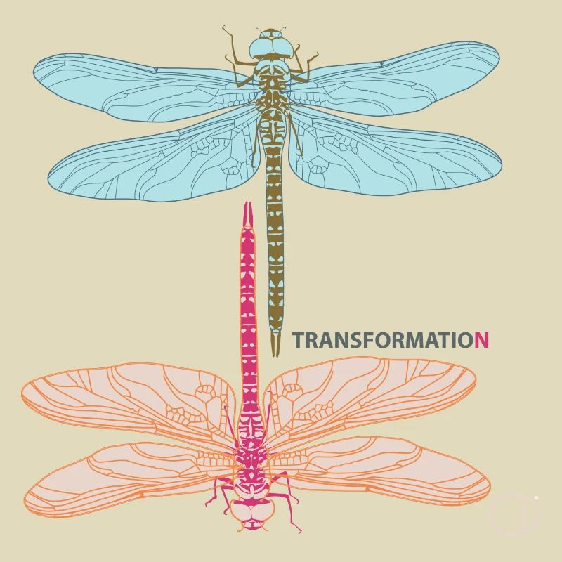 Libellules et transformation par CD