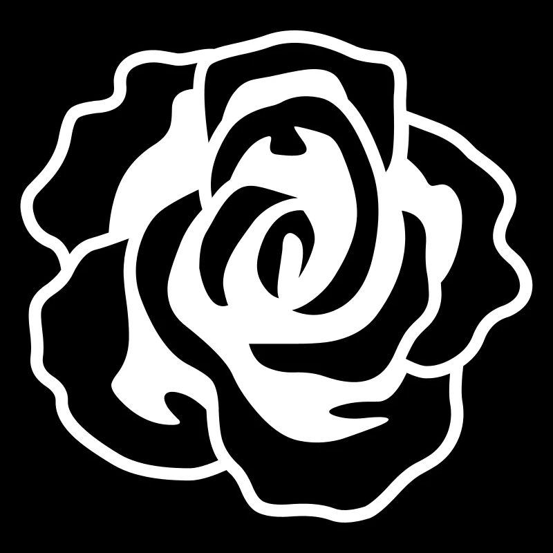 Rose Floraison