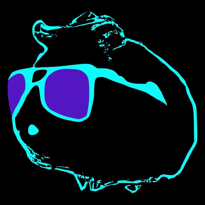 Un cochon d’Inde cool