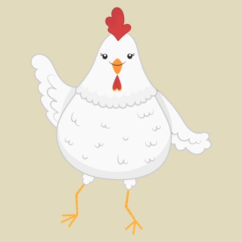 Chicken chickens