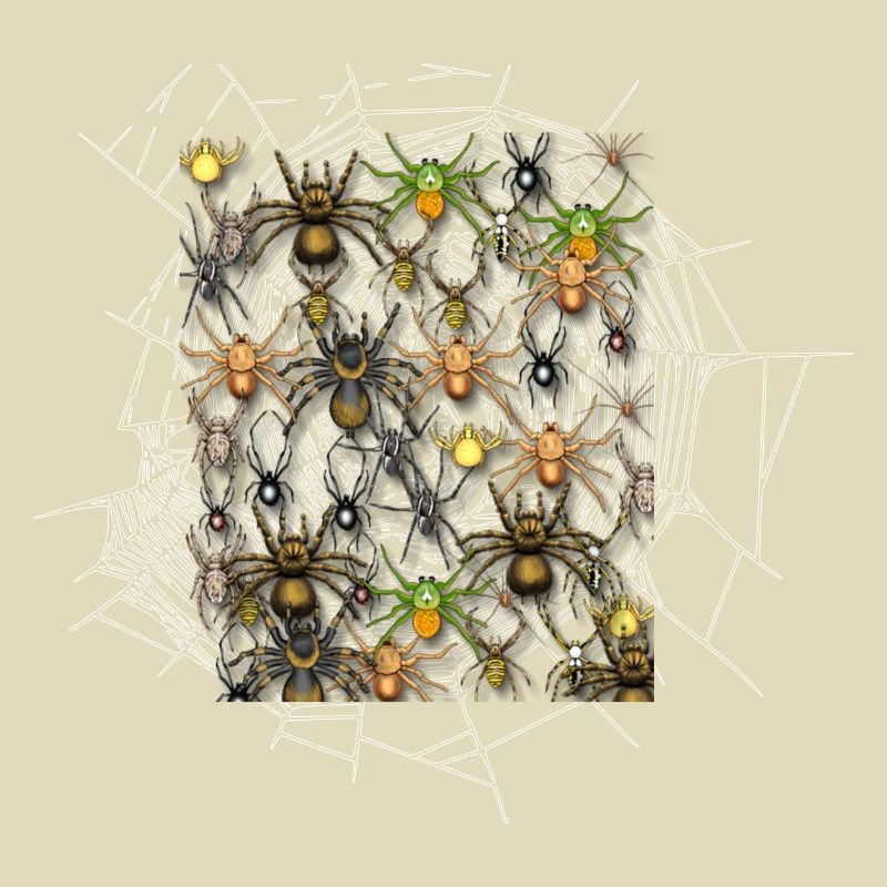 Araignée
