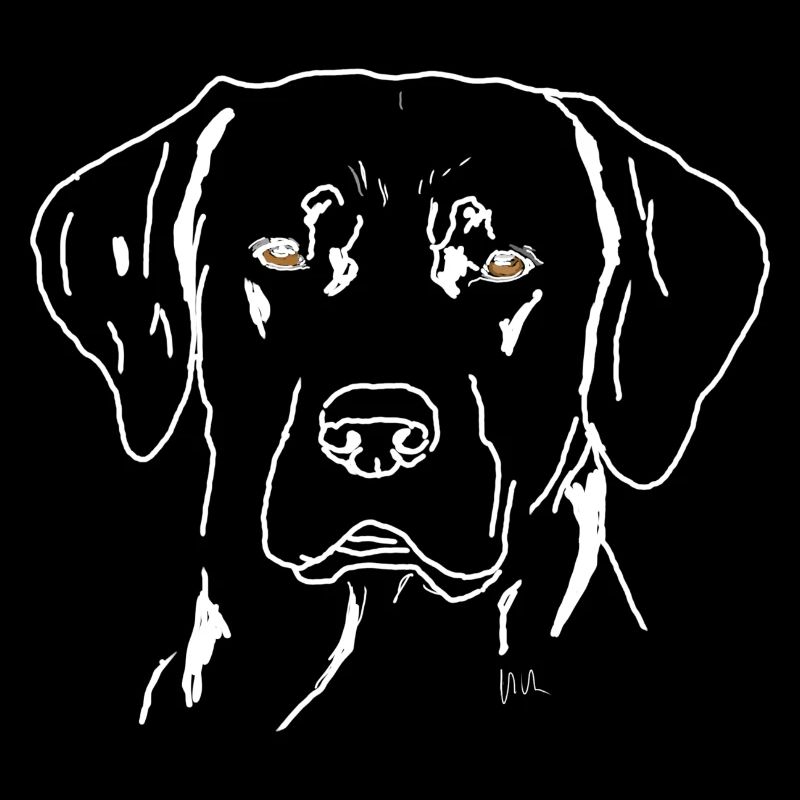 Labrador