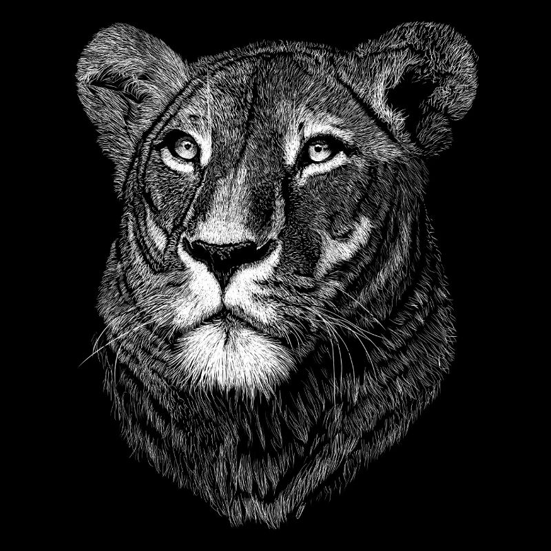 Lionne