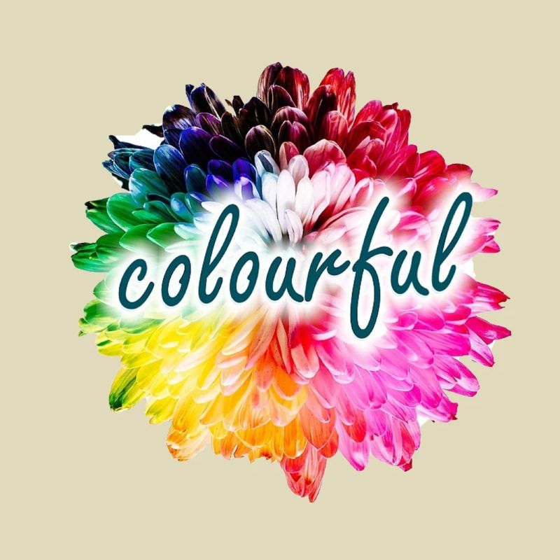 Regenbogenblume Farbexplosion