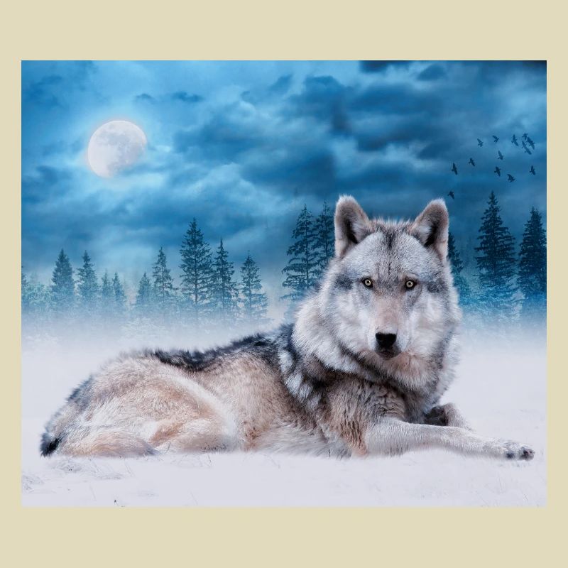 Loup Solitaire / Loups Loup Lune Clair De Lune Faune