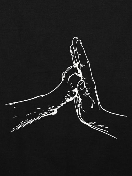 hand-pfote-