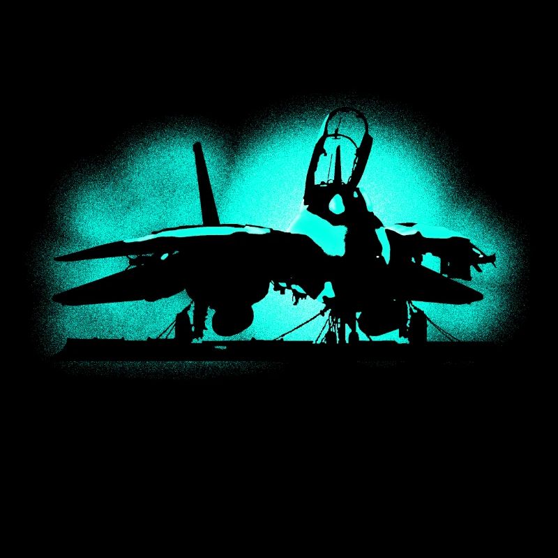 Jet Tomcat