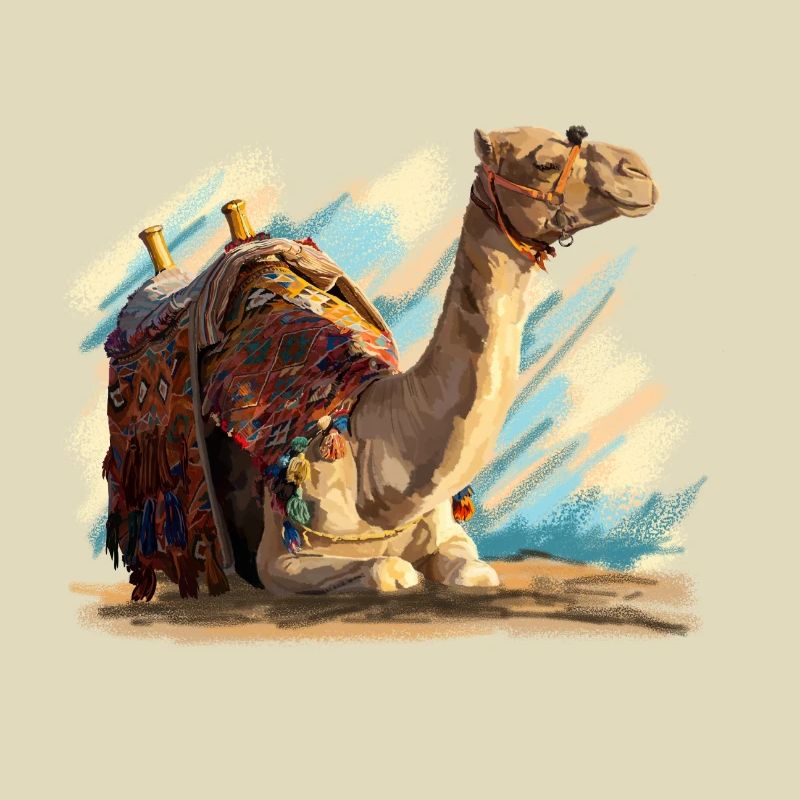 kamel