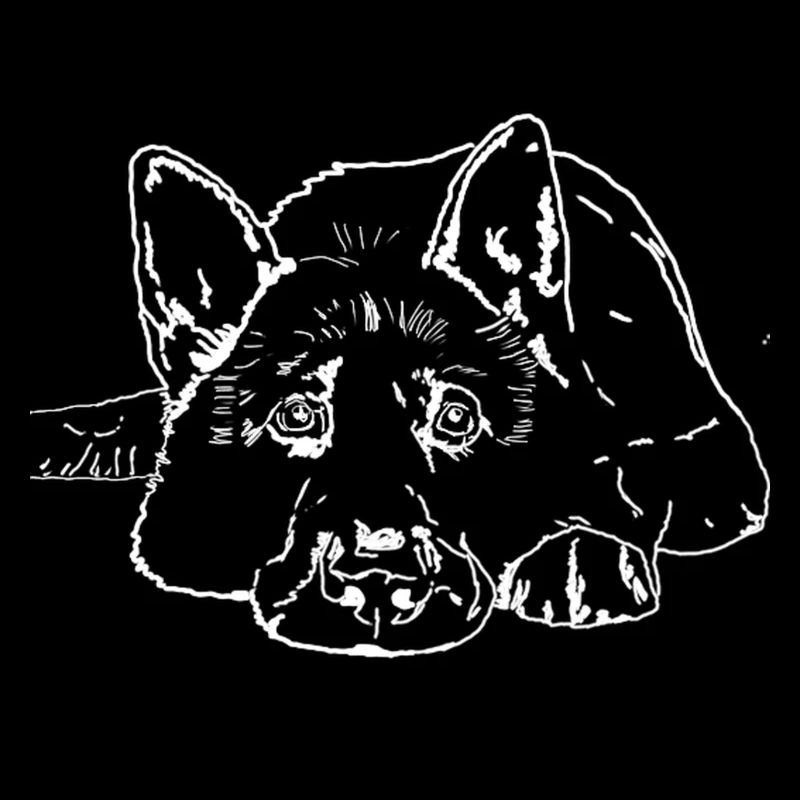 Sheepdog