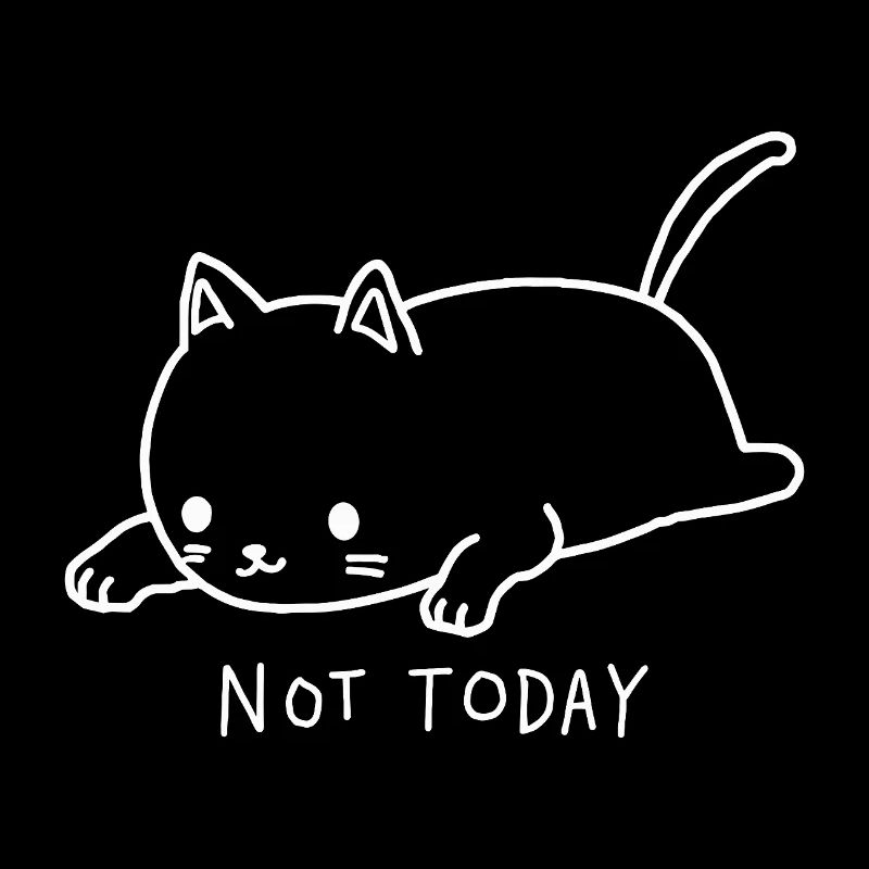 Cat Not Today I don't feel like it