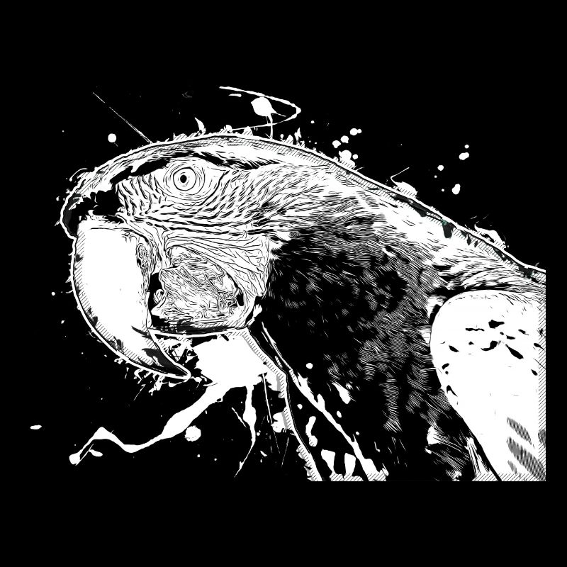 Parrot
