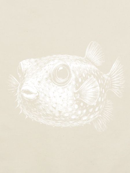 Poisson-globe