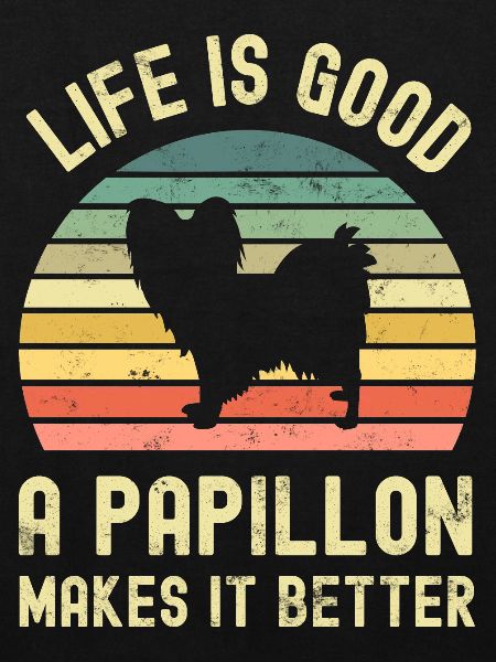 Chien Papillon