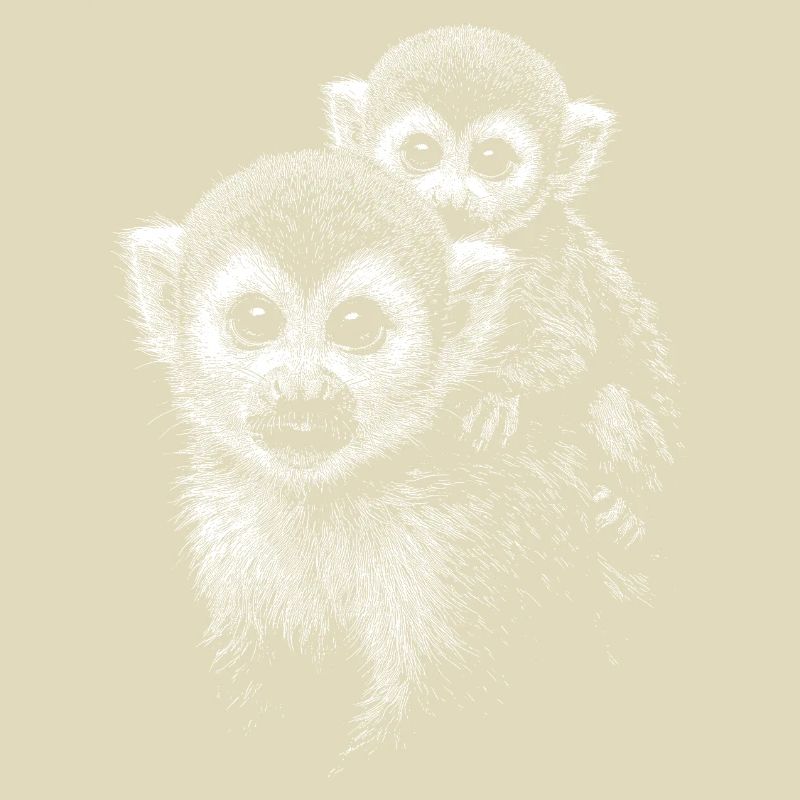Squirrel monkey
