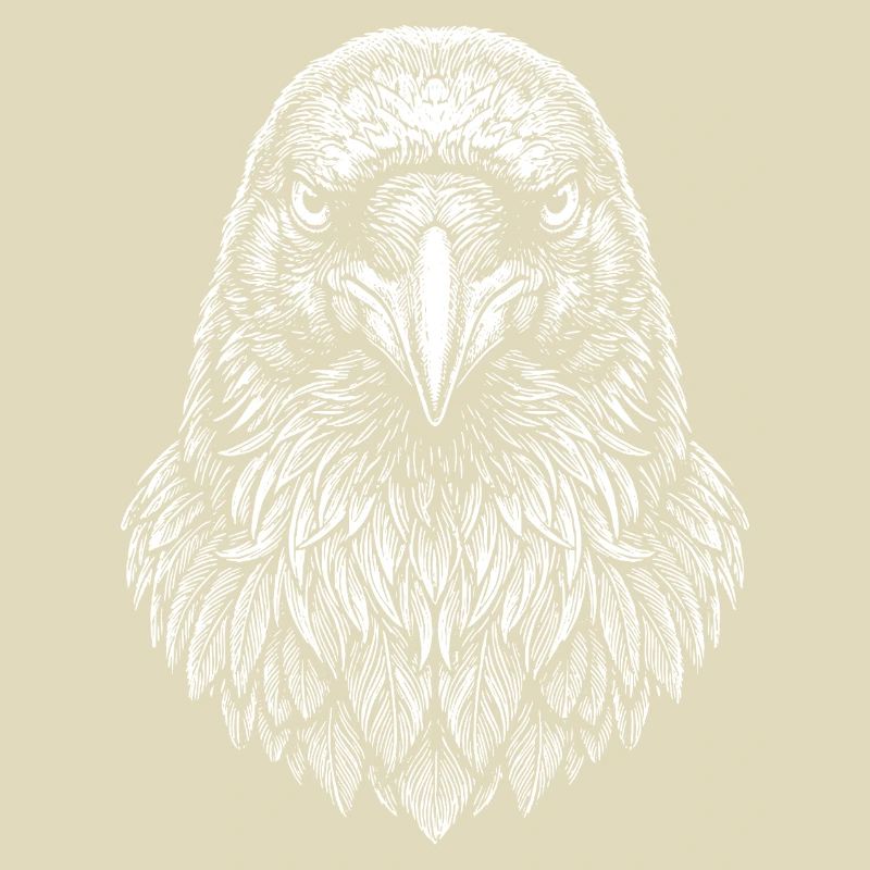 Aviator Eagle Head Line Art