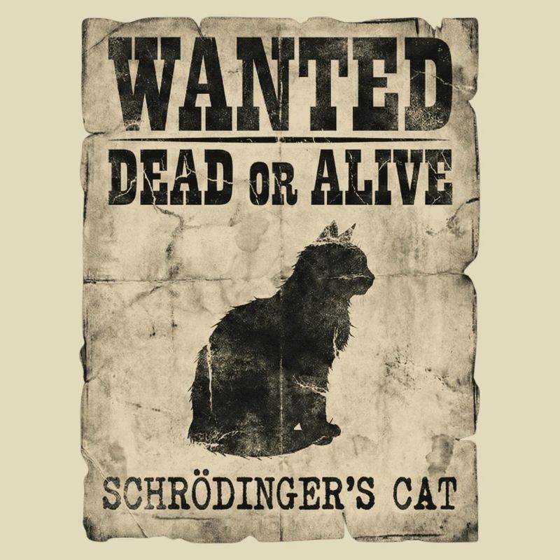 Schrödingers Katze gesucht Tot-oder-lebendig Physik-Wortspiel