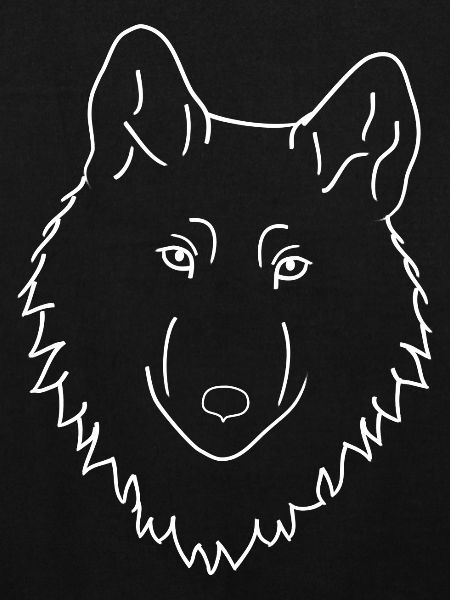 Wolf - white