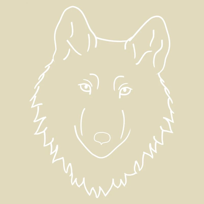 Wolf - white