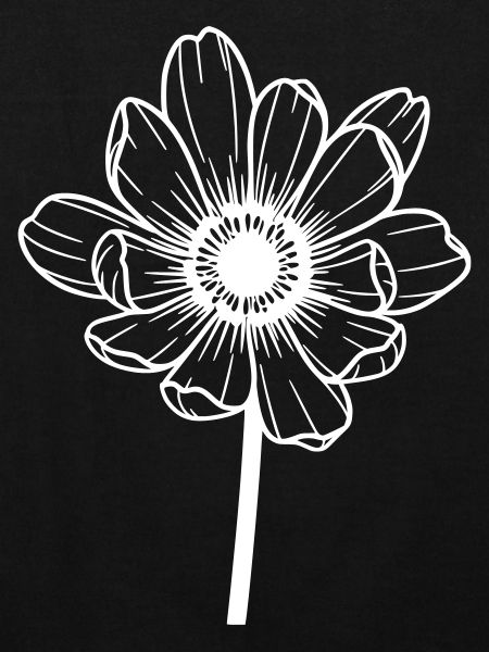 Fleur blanche graphique