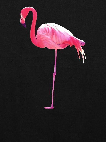 Pink Flamingo