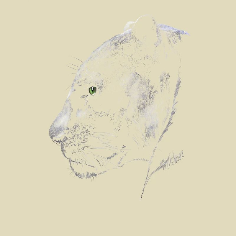 Panther