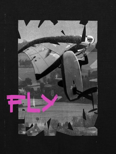 Wingfoiler Freestyle