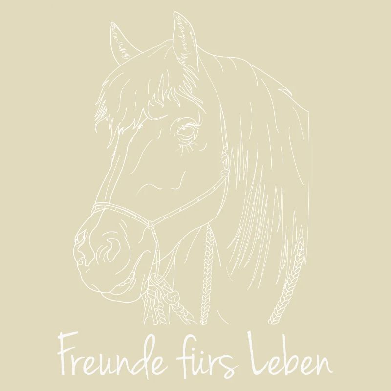 Freunde fürs Leben Haflinger Pferd
