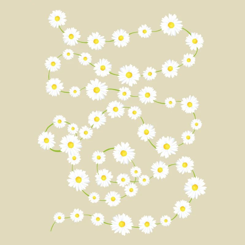 Daisy Chain