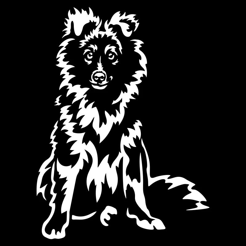 Sheltie « Édition Noire »