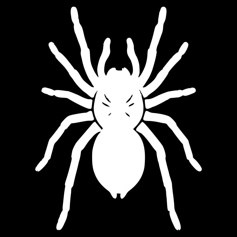 Tarantula Tarantula Realistic Vector