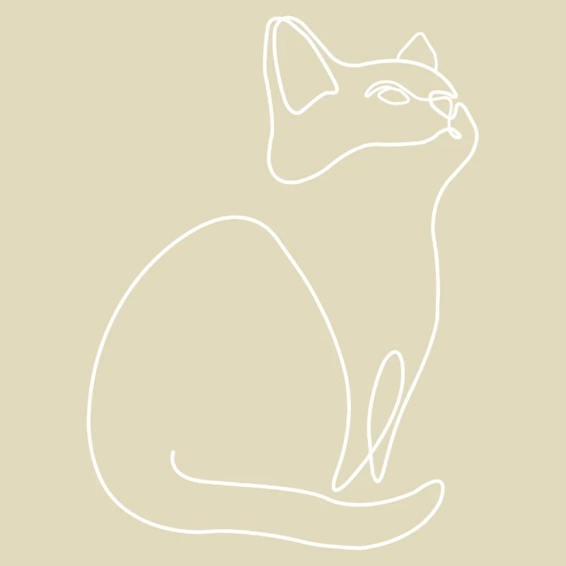 Chaton Chat Chat