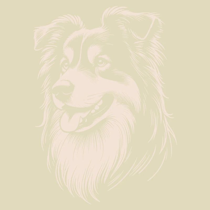 Australian Shepherd Features