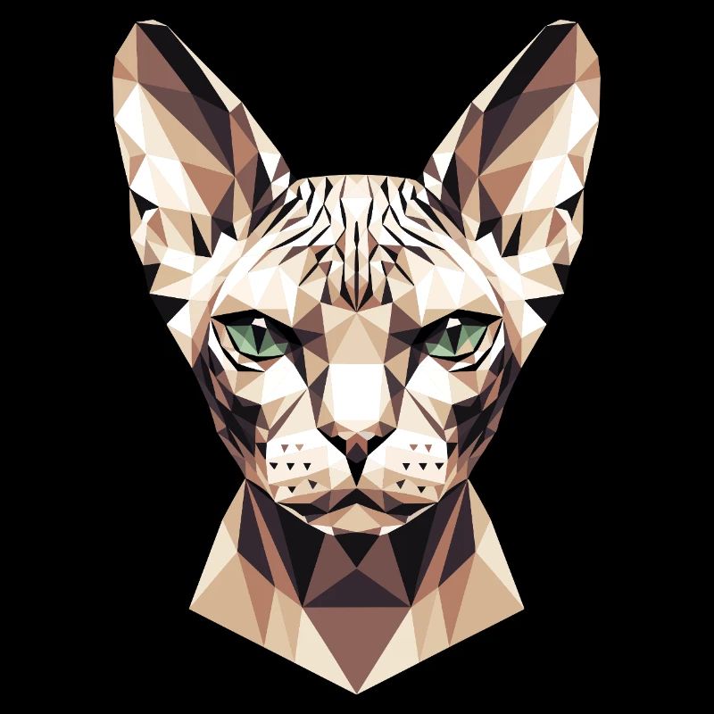 Sphynx Chat Sphynx Chat Chat Canadien Sphinx mignon
