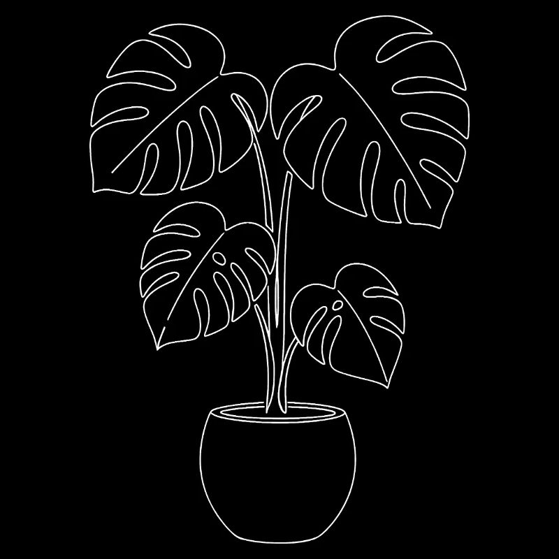 Botani Silhouette de plante Monstera minimaliste