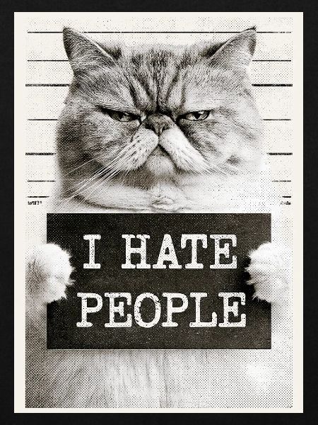 GrimmigerKater I HATE PEOPLE