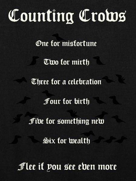 Crow Counting