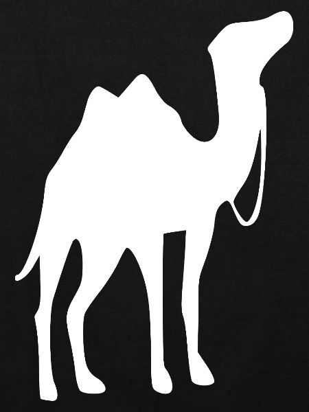 Kamel T-shirt Geschenk