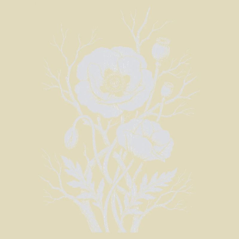 Mohnblumen