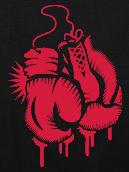 Boxhandschuhe