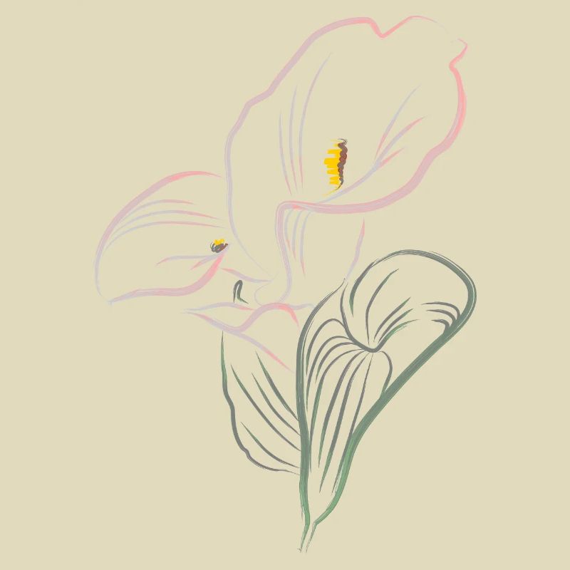 CALLA mix cold