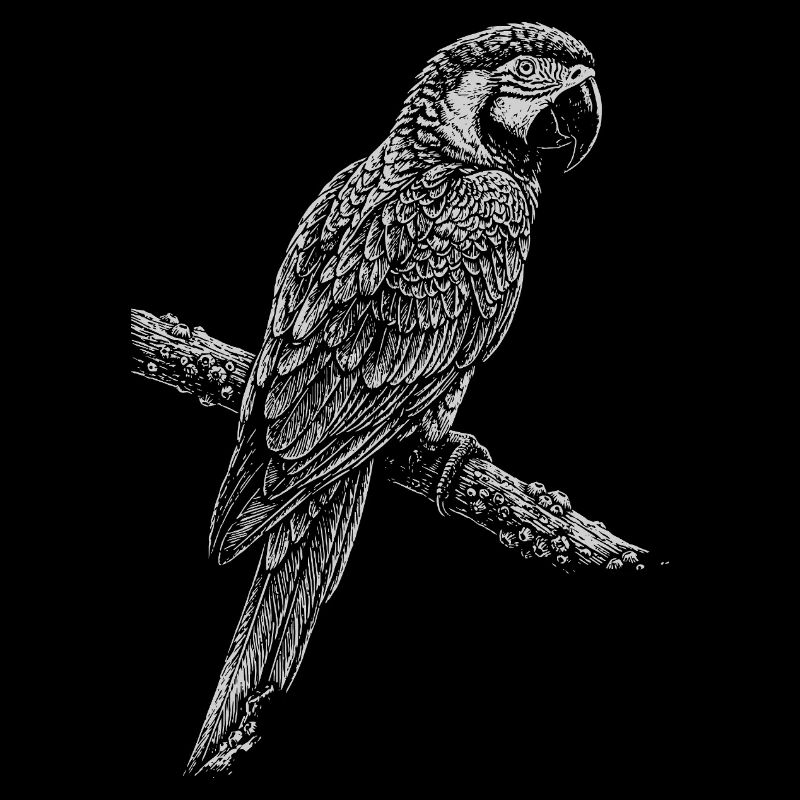 Parrot Silhouette on Branch