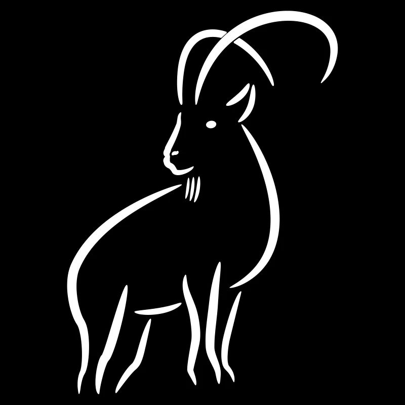 Steinbock Strichzeichnung