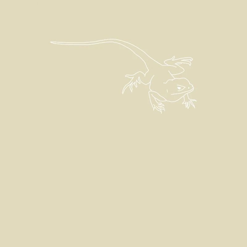 lizard