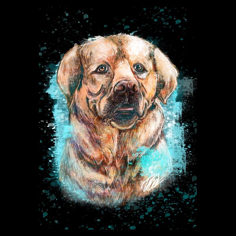 Labrador Hund.