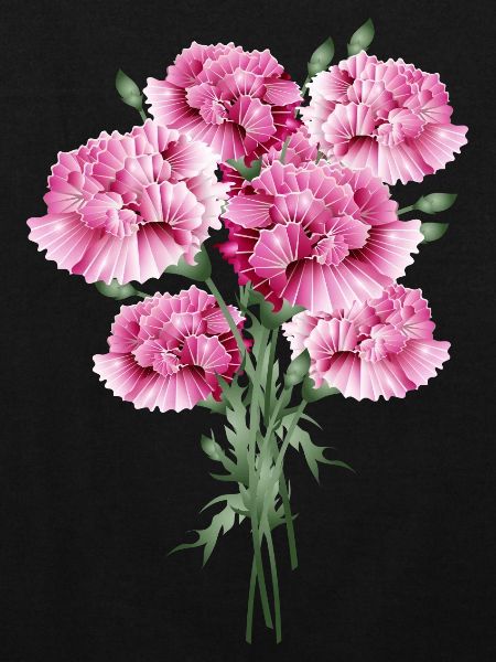 fascinant bouquet rose d’œillets