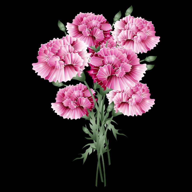 fascinant bouquet rose d’œillets