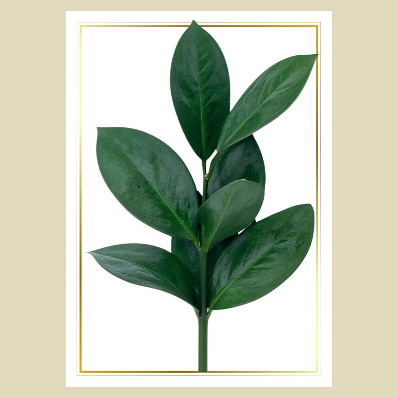 Branche verte avec bordure dorée
