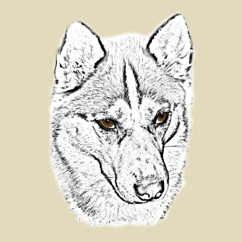 Wolfskopf Line Study
