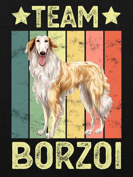 Chien Borzoi